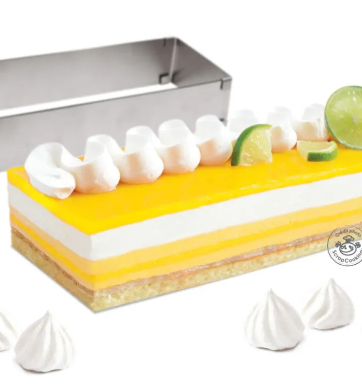 Cadre pâtissier rectangle extensible inox