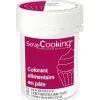 Colorant alimentaire en pâte prune 20g