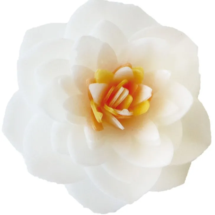 Décors azyme Fleurs camélias blancs x4