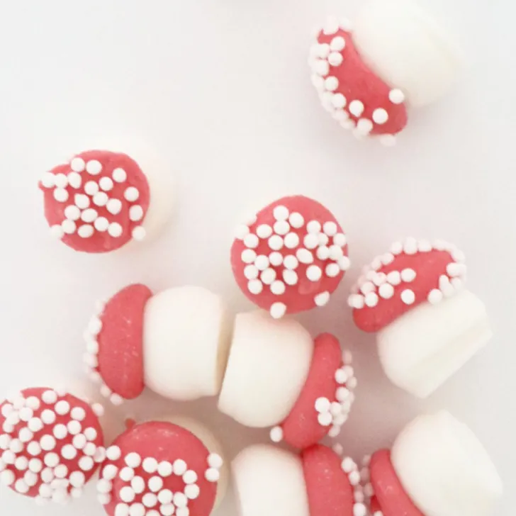 Décors sucrés Champignons 25g