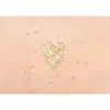 Décors sucrés mix rods pêche 70g