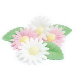 Fleurs azyme marguerites/feuilles vertes