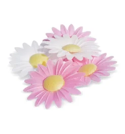 Fleurs azymes 18 marguerites