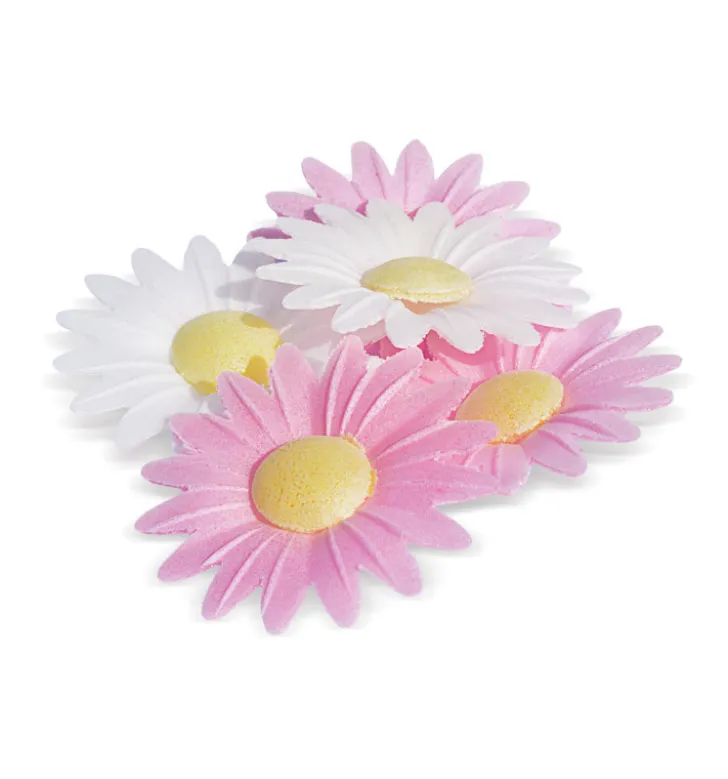 Fleurs azymes 18 marguerites