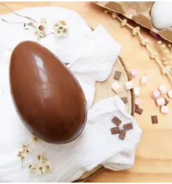 Moule blister chocolat œuf