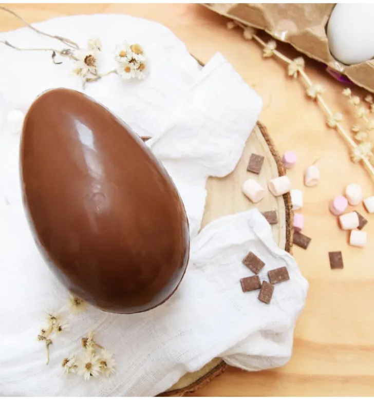 Moule blister chocolat œuf