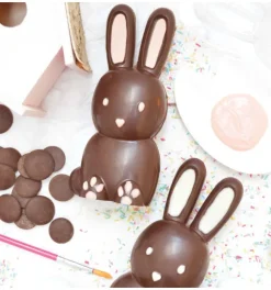 Moule 3D choco lapin
