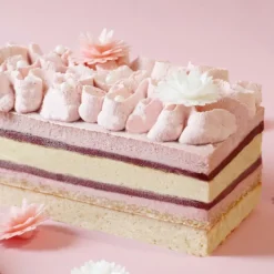Moules en silicone pour layer cake & bûches x3