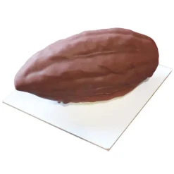 Moule silicone trompe-l'œil cabosse de cacao