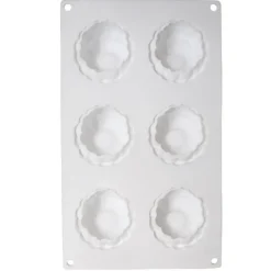 Moule silicone trompe-l’œil framboise - 6 empreintes
