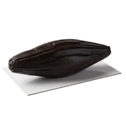 Moule silicone trompe-l'œil gousse de vanille individuel