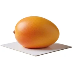 Moule silicone trompe-l'œil mangue individuel