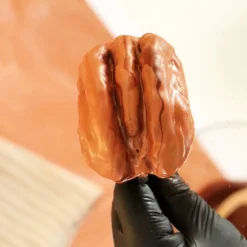 Moule Trompe-l'œil Noix de pécan silicone