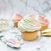 6 Poches pâtissières jetables duo