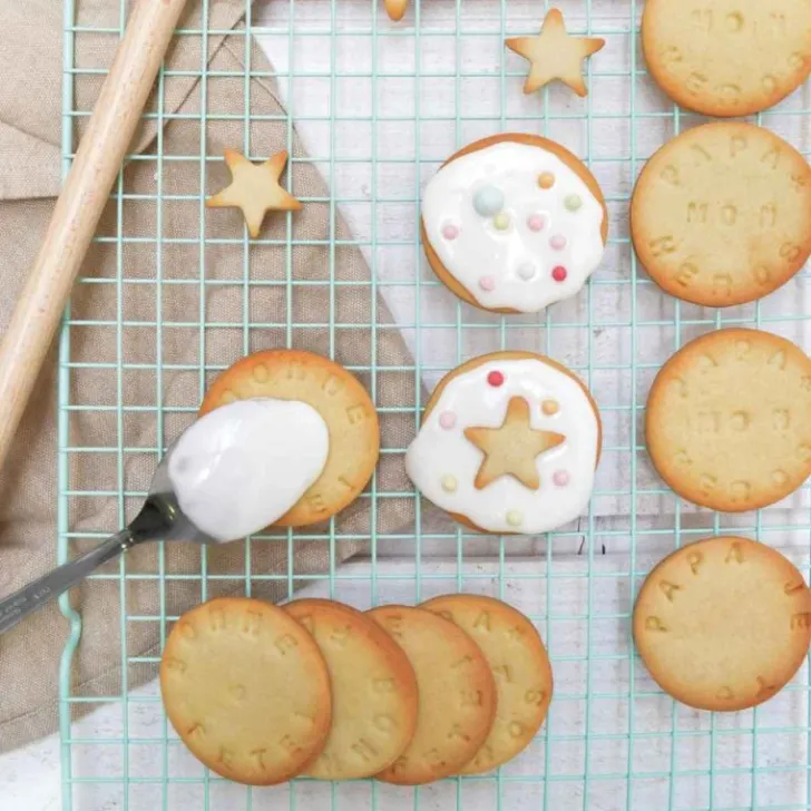 Préparation en poudre pour biscuits nature maison