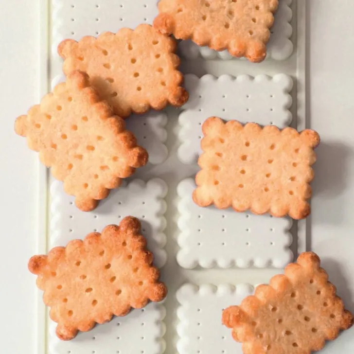 Préparation pour biscuits Petits beurre