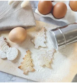 Saupoudreuse pour sucre glace, cacao et plus